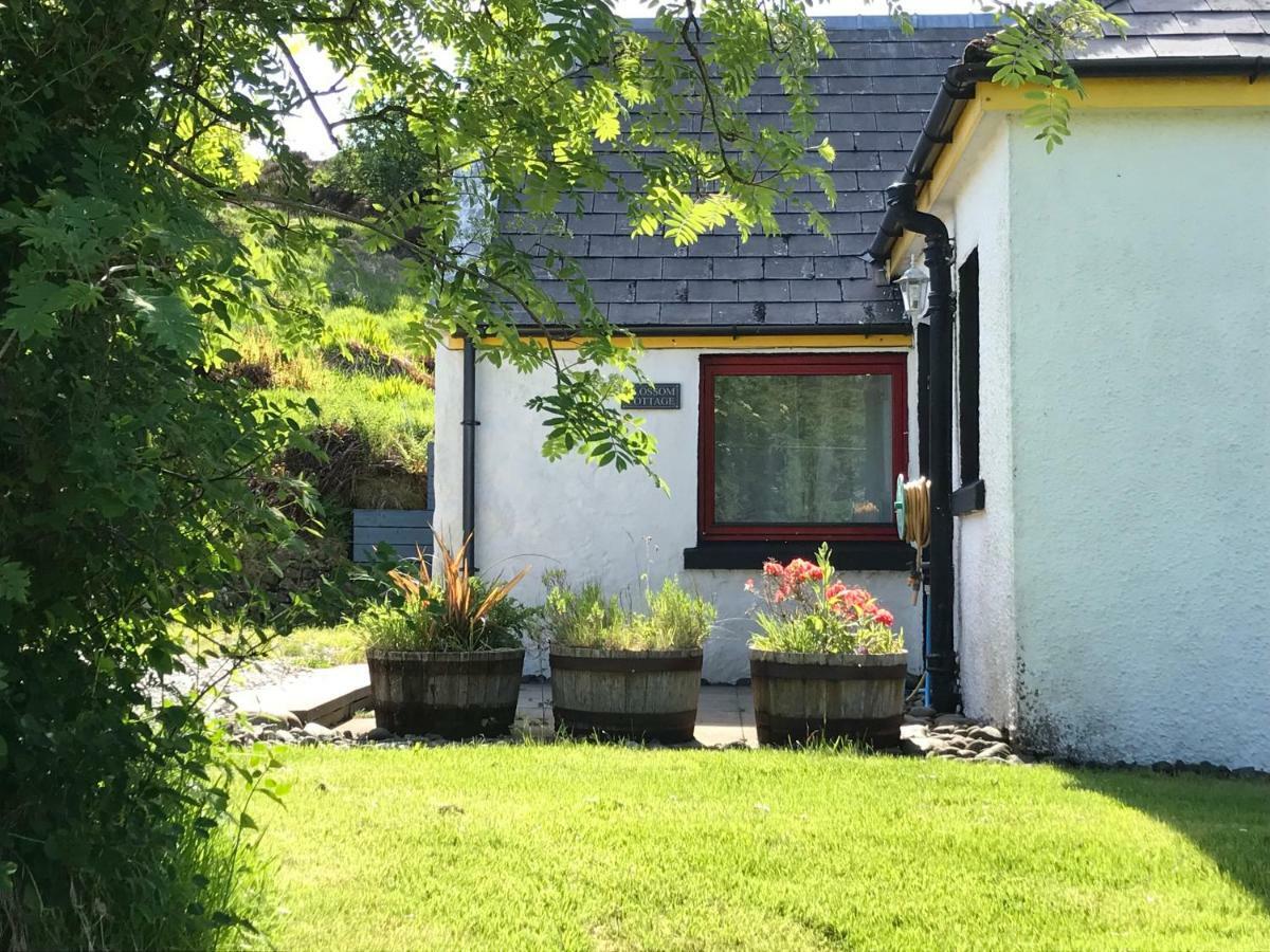 Blossom Cottage Lonmore Экстерьер фото